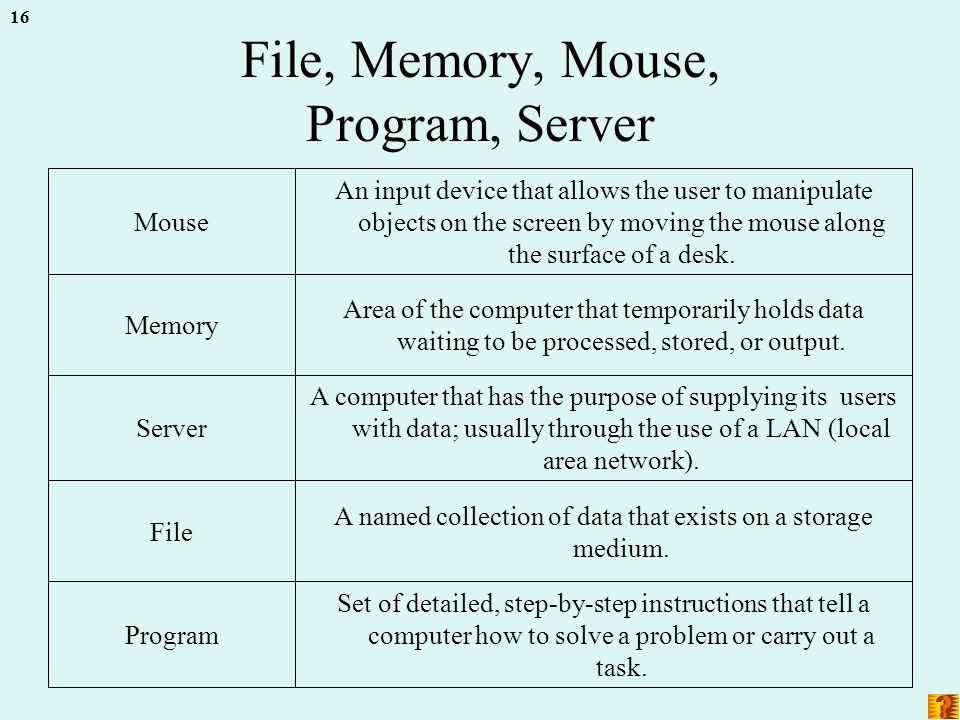 16 File, Memory, Mouse, Program, Server Set of detailed, step-by-step instructions that tell a computer how to solve a problem or carry out a task.