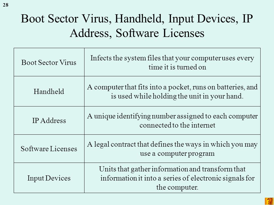 28 Boot Sector Virus, Handheld, Input Devices, IP Address, Software Licenses Units that gather information and transform that information it into a series of electronic signals for the computer.