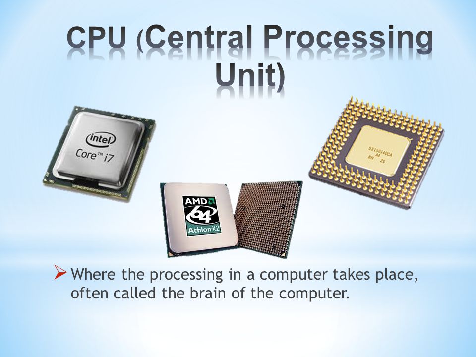  Where the processing in a computer takes place, often called the brain of the computer.