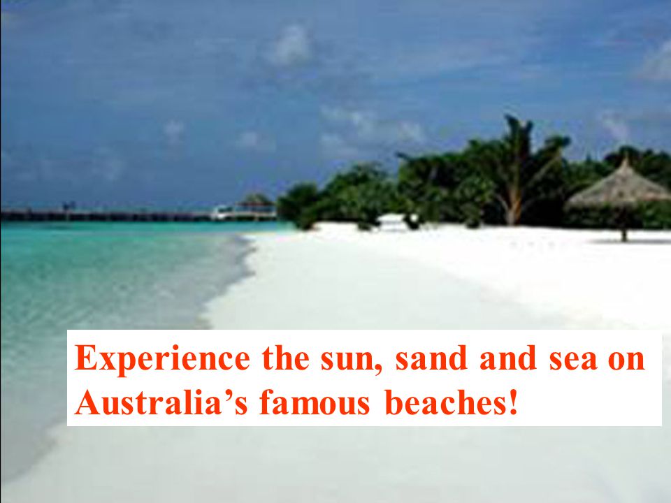 Experience the sun, sand and sea on Australia’s famous beaches!