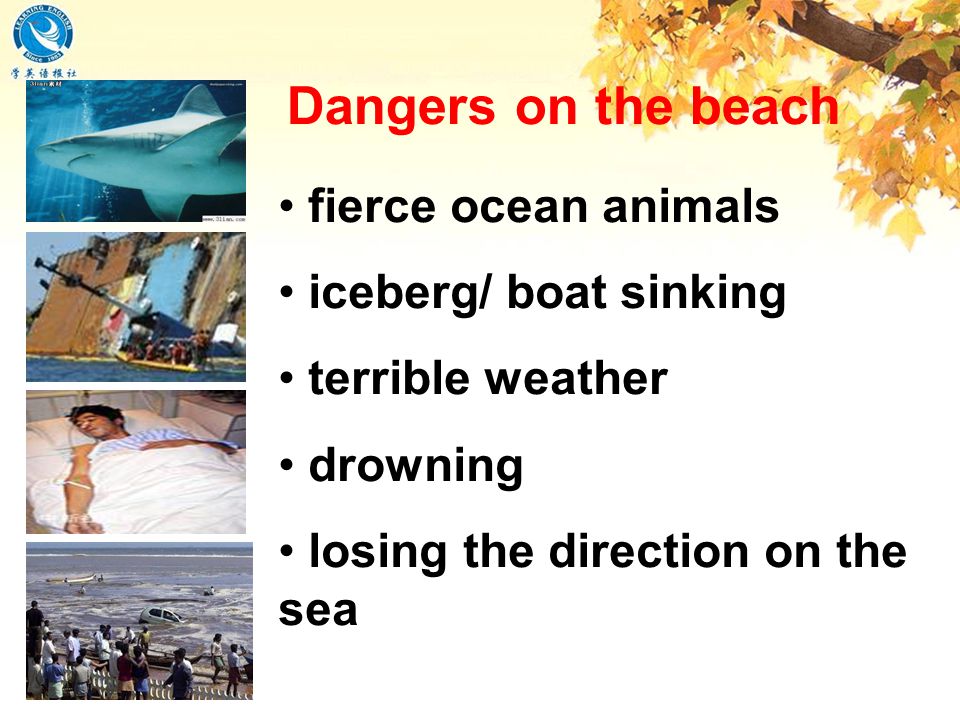 fierce ocean animals iceberg/ boat sinking terrible weather drowning losing the direction on the sea Dangers on the beach
