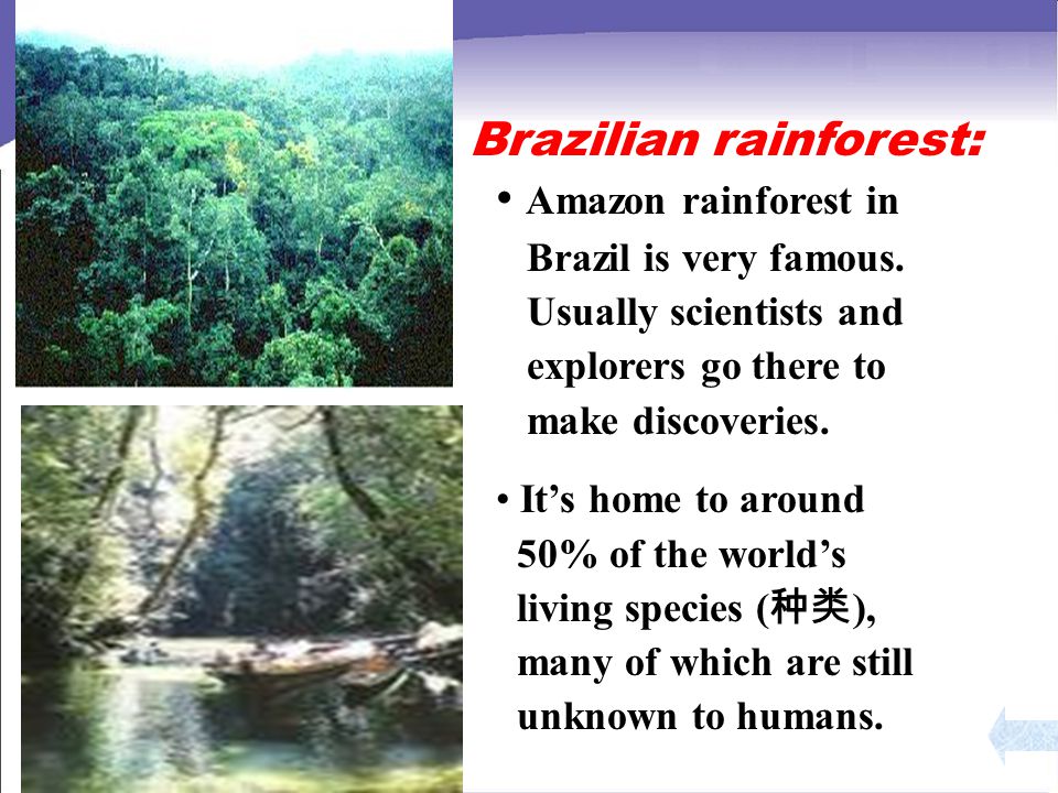 Amazon rainforest in Brazil is very famous.