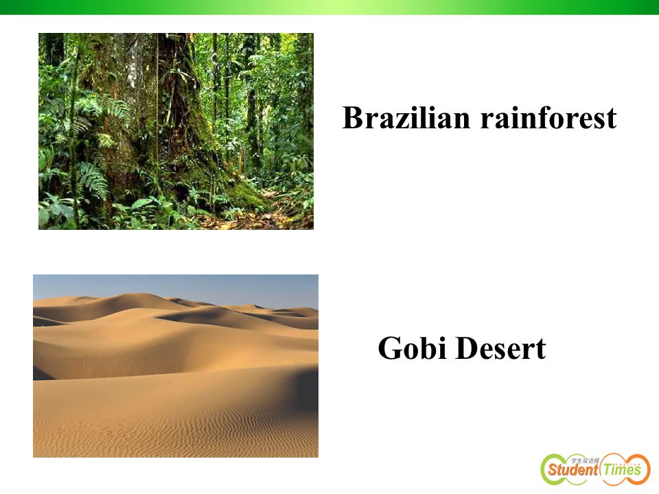 Gobi Desert Brazilian rainforest