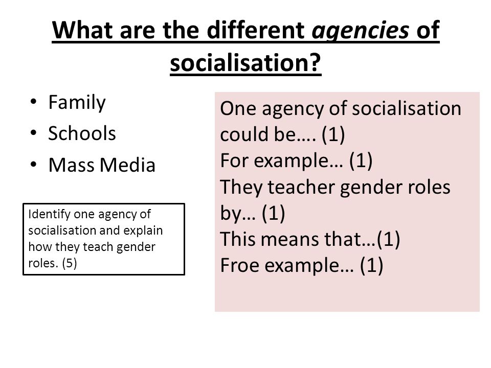 What are the different agencies of socialisation.