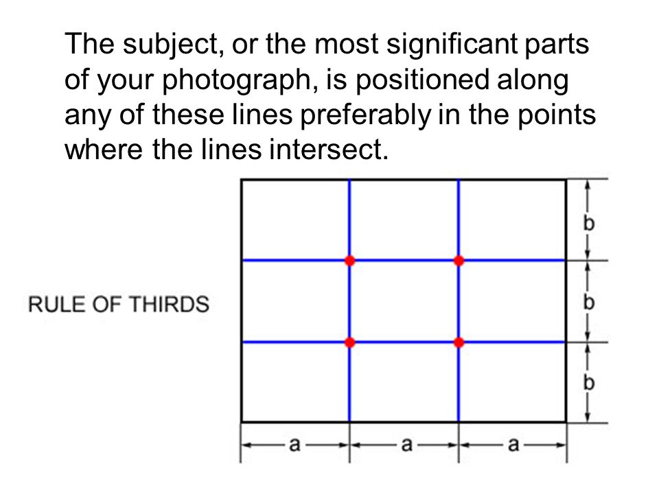The subject, or the most significant parts of your photograph, is positioned along any of these lines preferably in the points where the lines intersect.