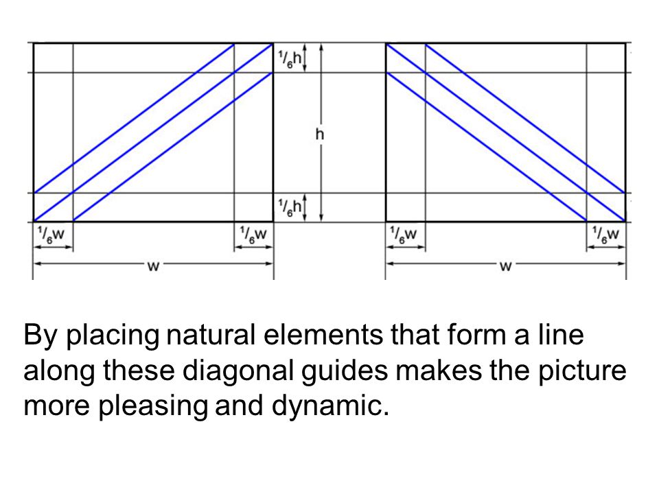 By placing natural elements that form a line along these diagonal guides makes the picture more pleasing and dynamic.