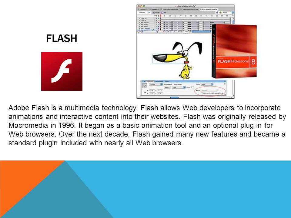 FLASH Adobe Flash is a multimedia technology.
