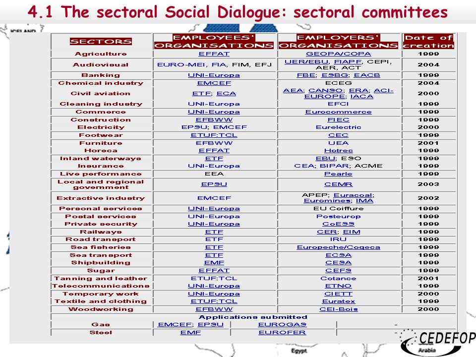 The sectoral Social Dialogue: sectoral committees