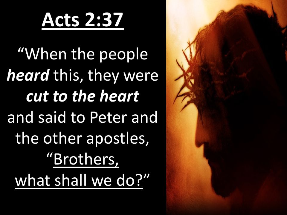 Acts 2:37 When the people heard this, they were cut to the heart and said to Peter and the other apostles, Brothers, what shall we do