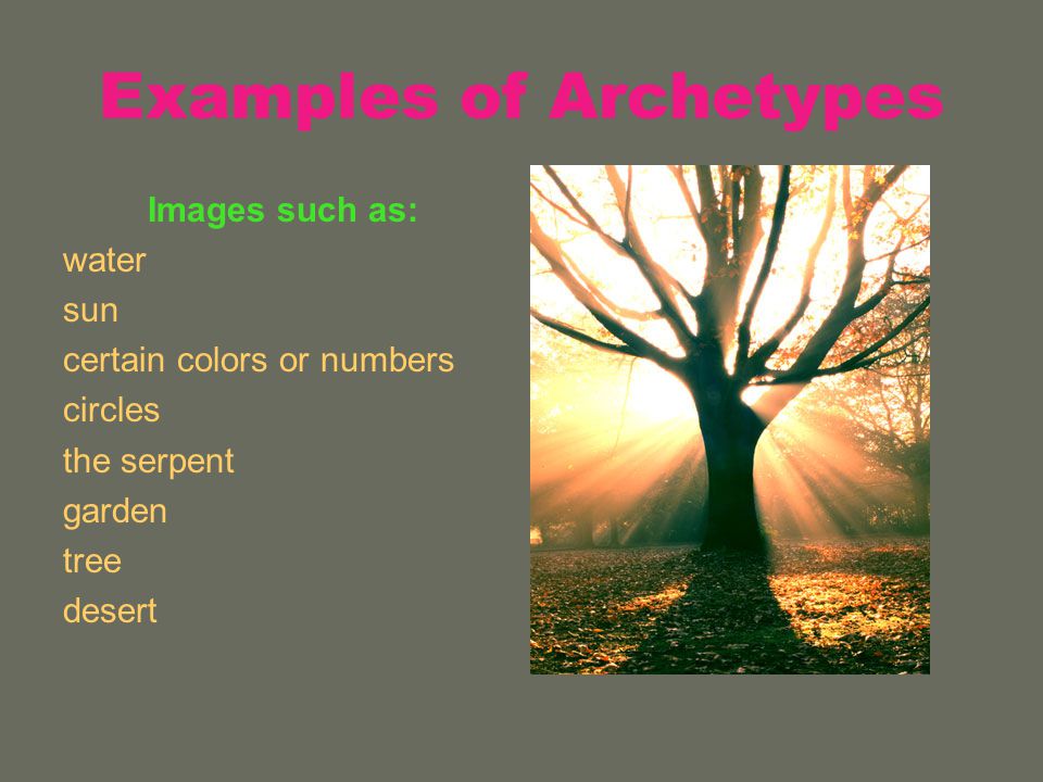 Examples of Archetypes Images such as: water sun certain colors or numbers circles the serpent garden tree desert