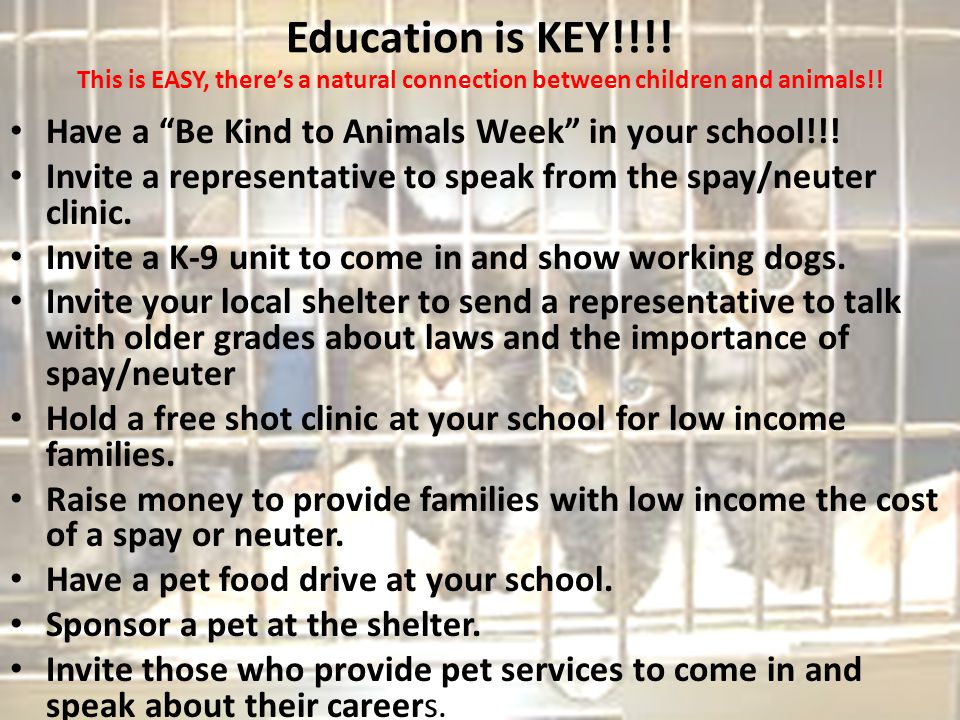 Education is KEY!!!. This is EASY, there’s a natural connection between children and animals!.