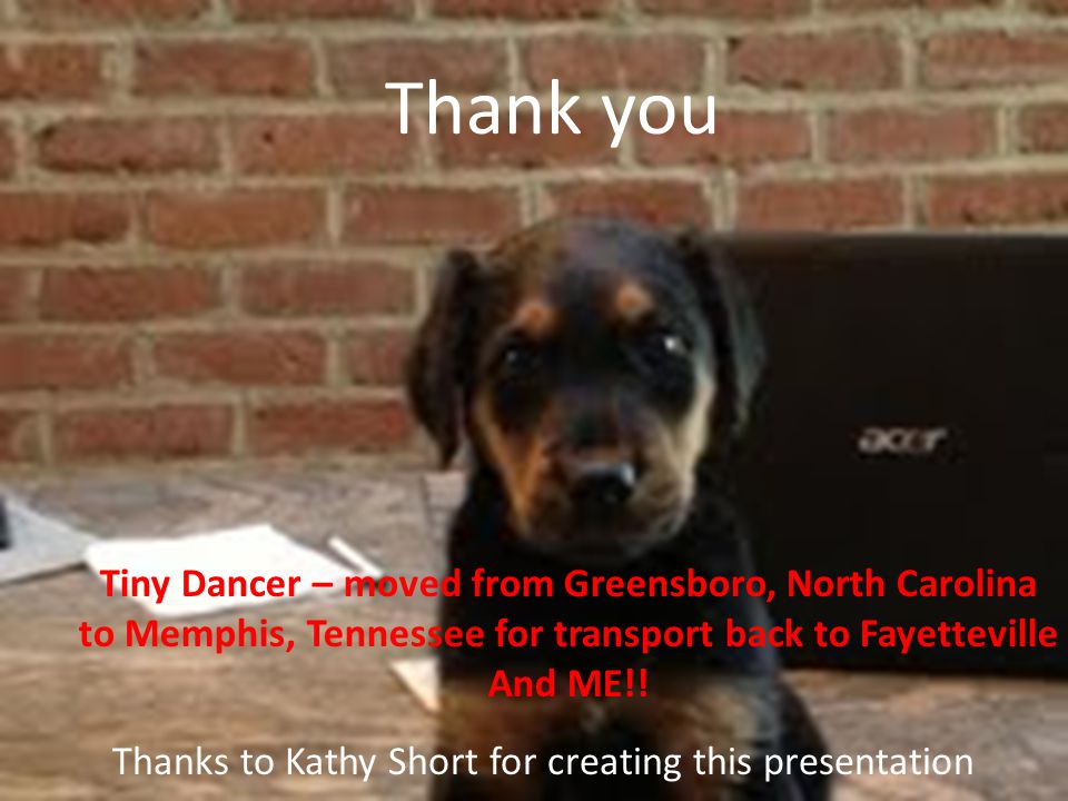Thank you Tiny Dancer – moved from Greensboro, North Carolina to Memphis, Tennessee for transport back to Fayetteville And ME!.