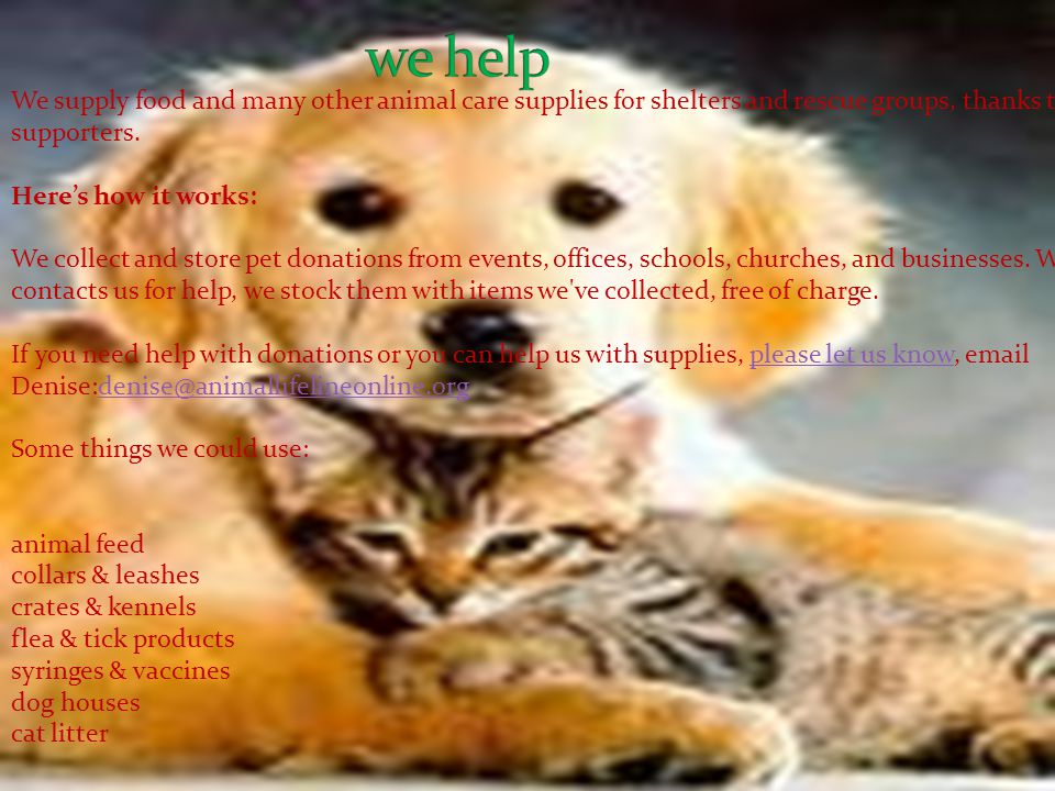 We supply food and many other animal care supplies for shelters and rescue groups, thanks to our supporters.