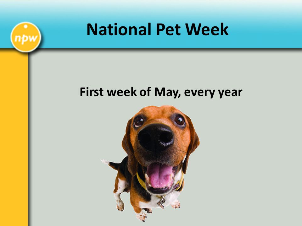 National Pet Week First week of May, every year