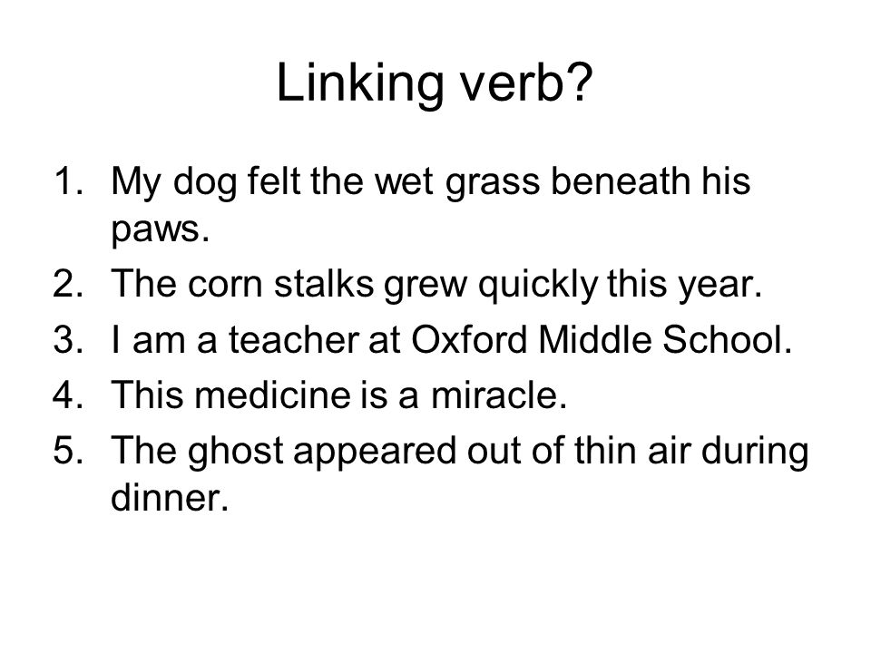 Linking verb. 1.My dog felt the wet grass beneath his paws.