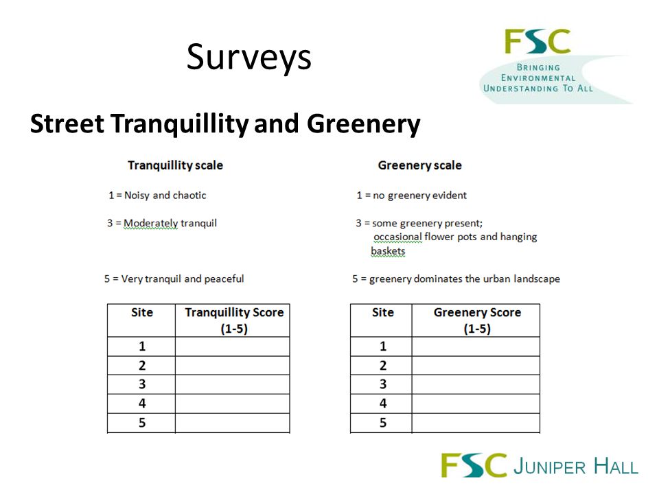 Surveys Street Tranquillity and Greenery