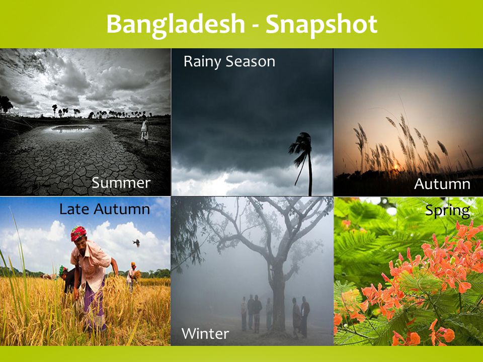 Bangladesh By Amit Biswas Who Am I Masters Of Business