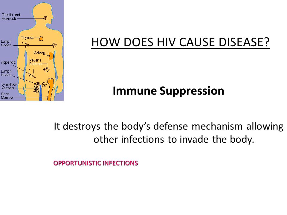 HOW DOES HIV CAUSE DISEASE.