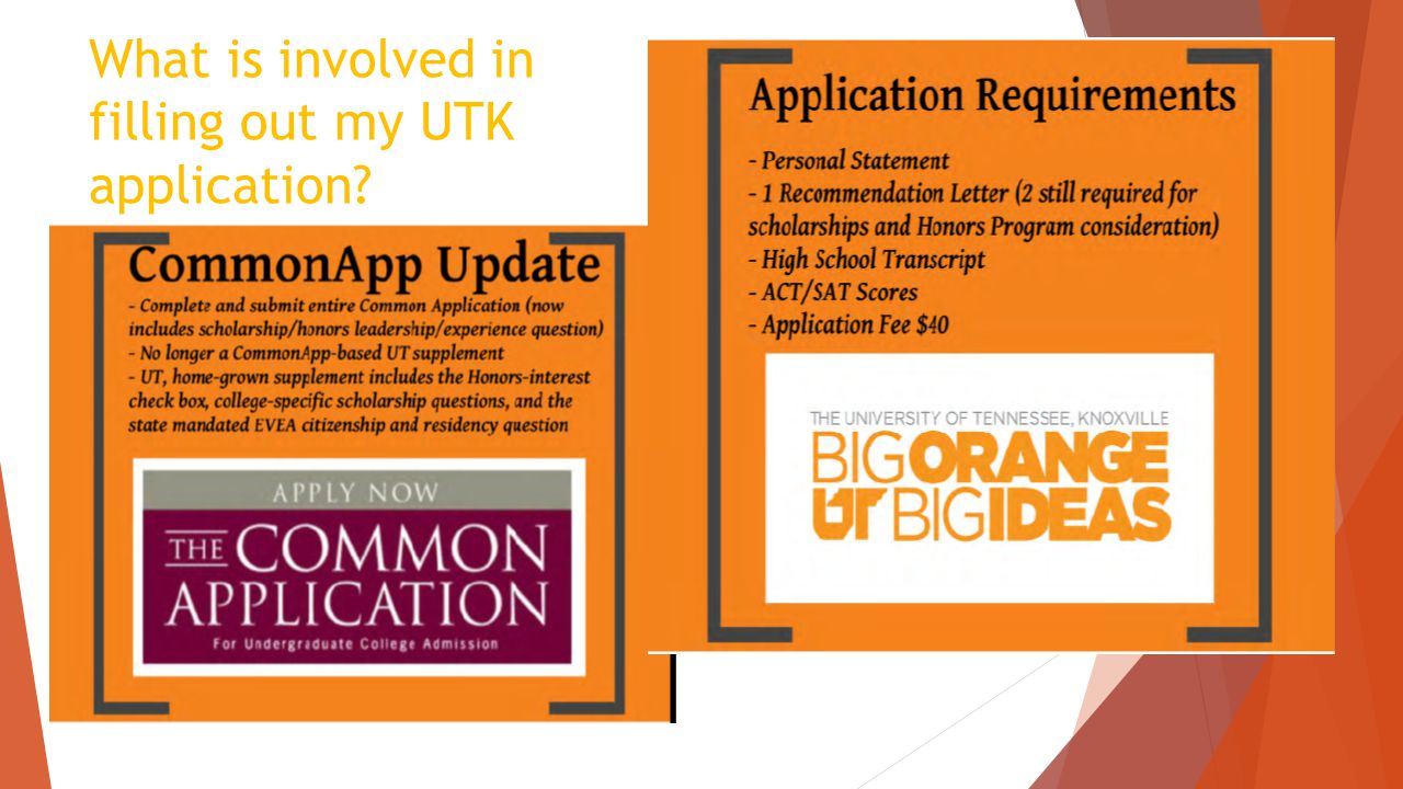 University Of Tennessee And Common App Information Ppt Download