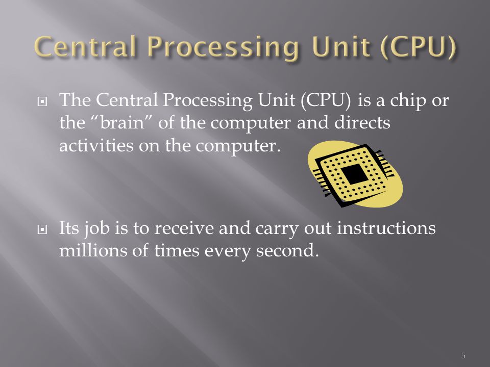  The Central Processing Unit (CPU) is a chip or the brain of the computer and directs activities on the computer.