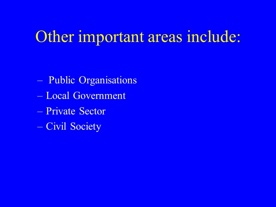 Other important areas include: – Public Organisations –Local Government –Private Sector –Civil Society