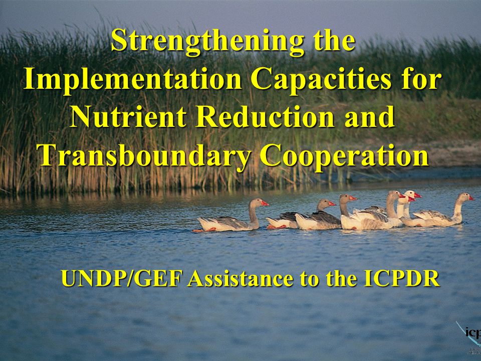 Strengthening the Implementation Capacities for Nutrient Reduction and Transboundary Cooperation 13 UNDP/GEF Assistance to the ICPDR