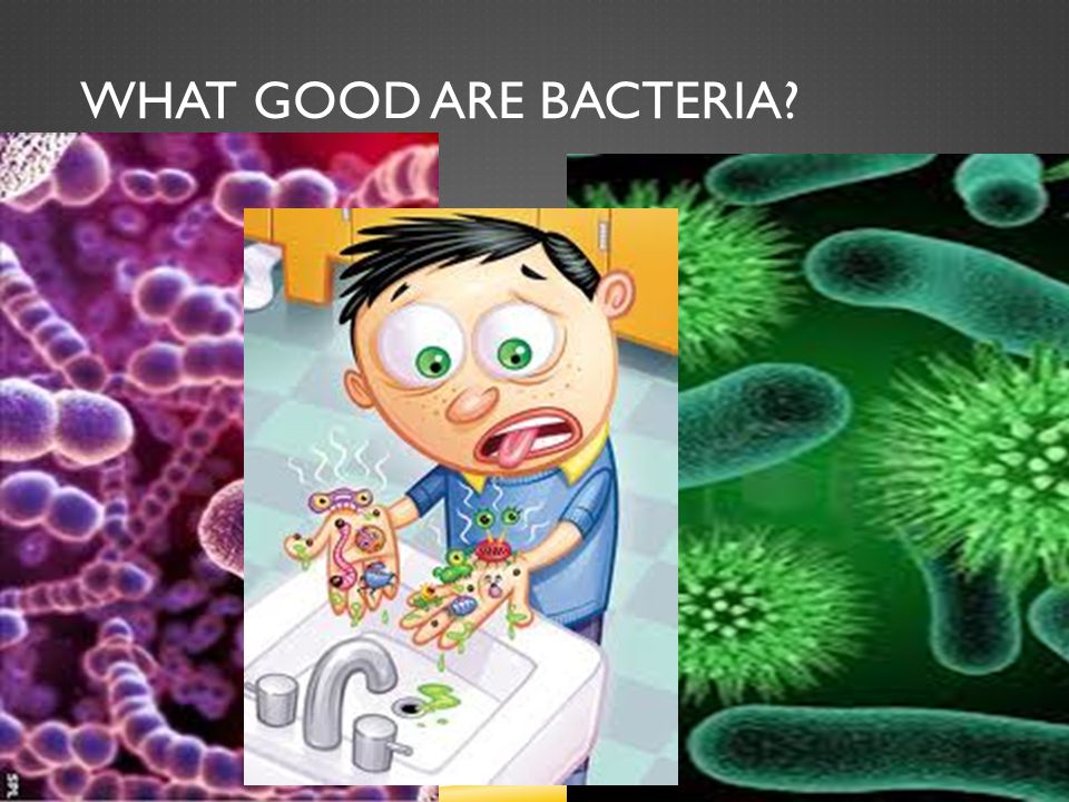 WHAT GOOD ARE BACTERIA