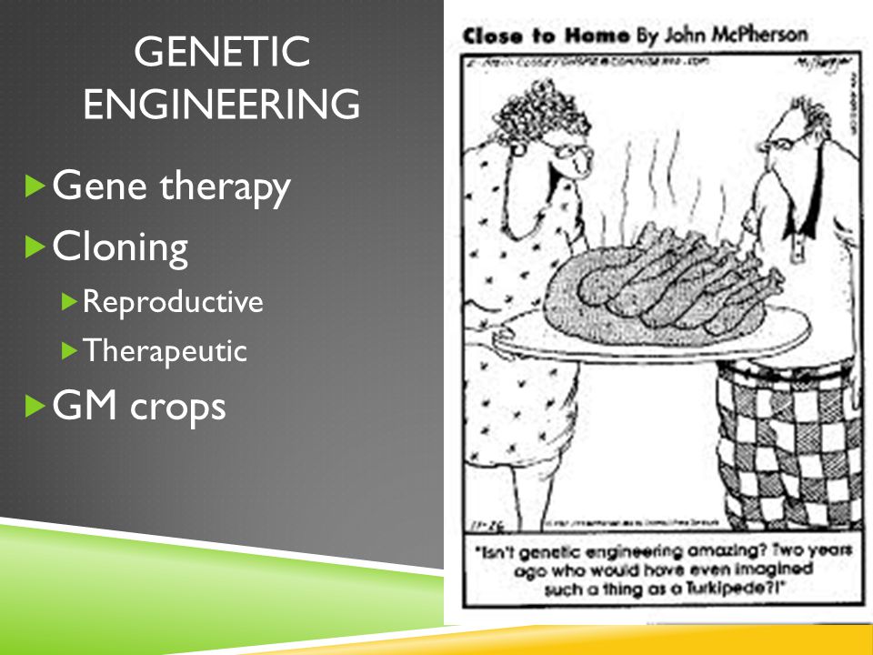  Gene therapy  Cloning  Reproductive  Therapeutic  GM crops