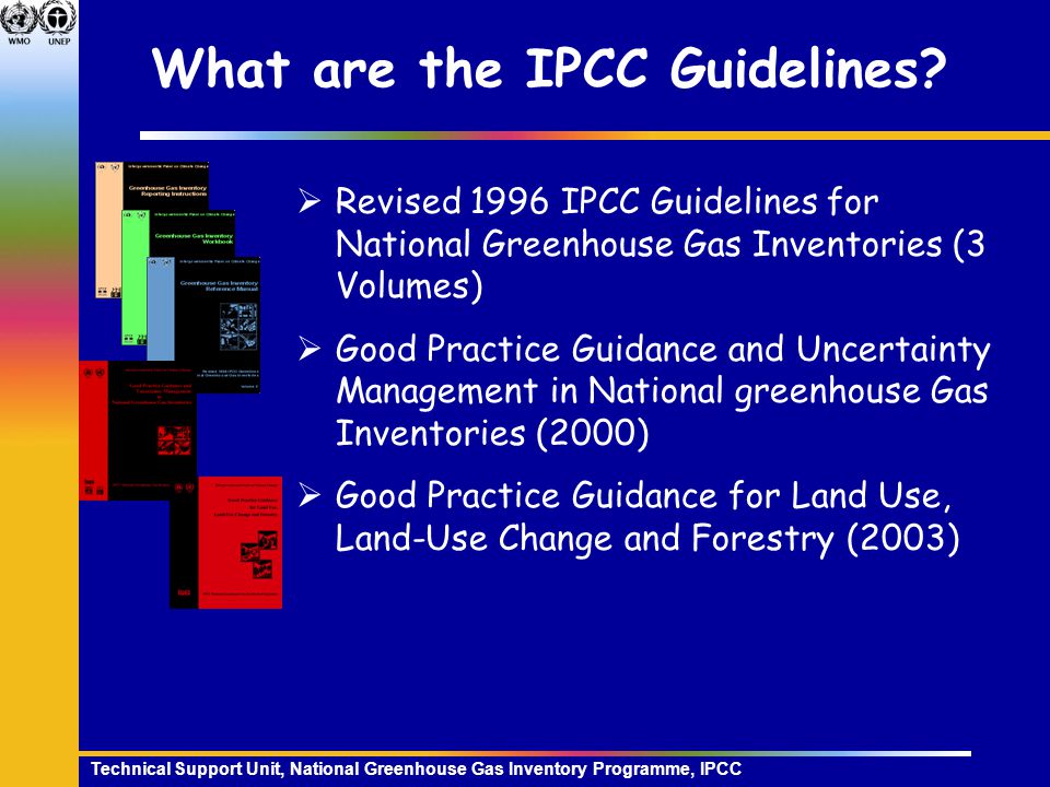 Technical Support Unit, National Greenhouse Gas Inventory Programme, IPCC What are the IPCC Guidelines.