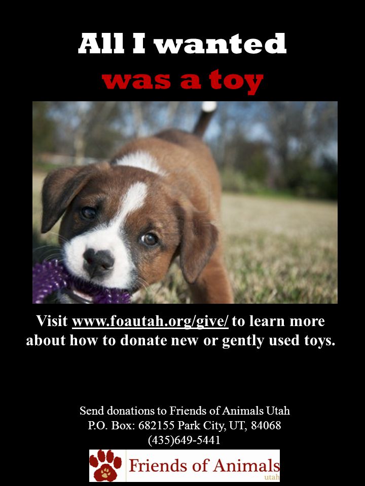 All I wanted was a toy Visit   to learn more about how to donate new or gently used toys.