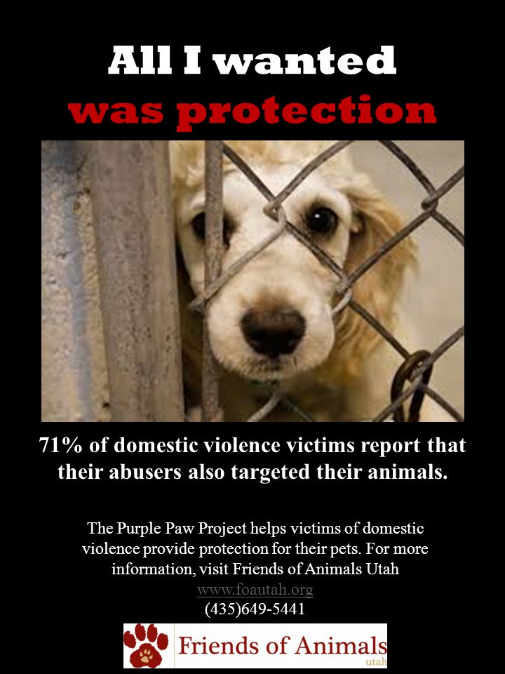 All I wanted was protection 71% of domestic violence victims report that their abusers also targeted their animals.