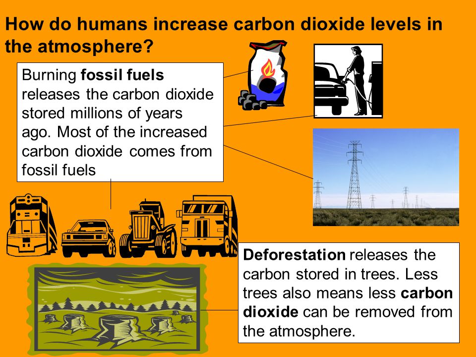 How do humans increase carbon dioxide levels in the atmosphere.