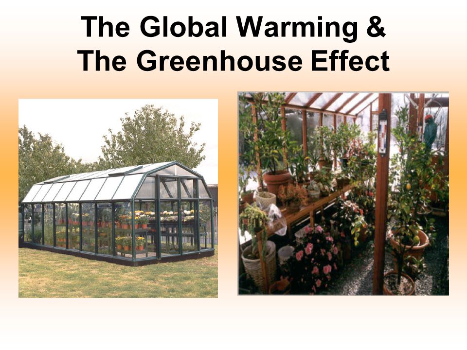 The Global Warming & The Greenhouse Effect