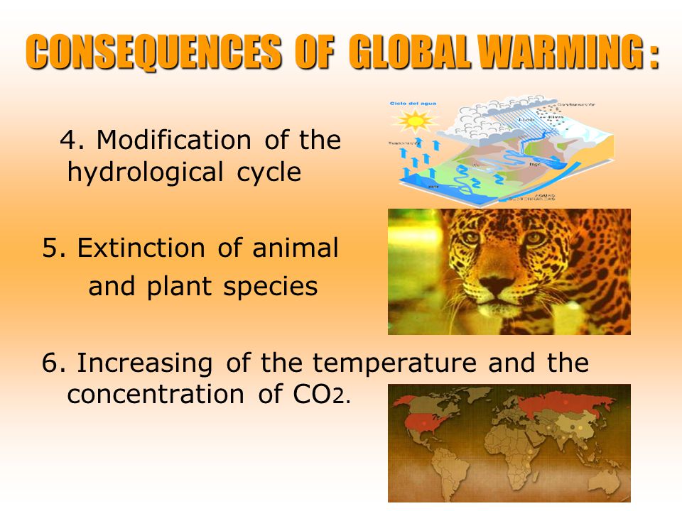 4. Modification of the hydrological cycle 5. Extinction of animal and plant species 6.
