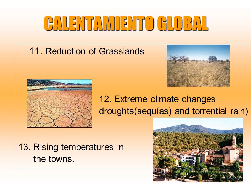 CALENTAMIENTO GLOBAL 11. Reduction of Grasslands 12.