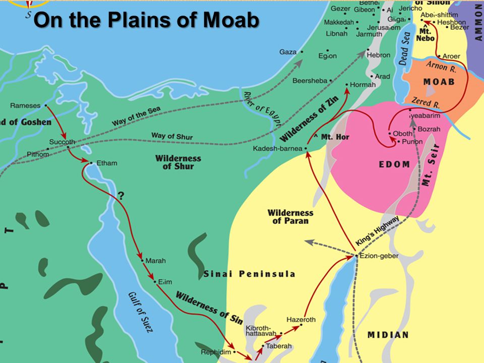 Image result for plains of moab