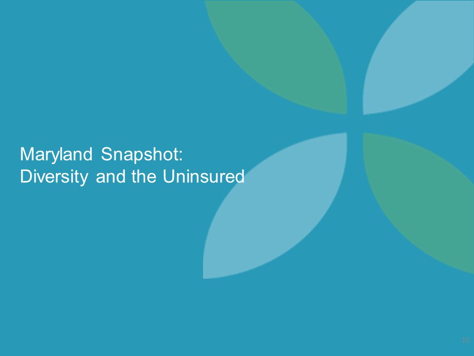 Maryland Snapshot: Diversity and the Uninsured 10