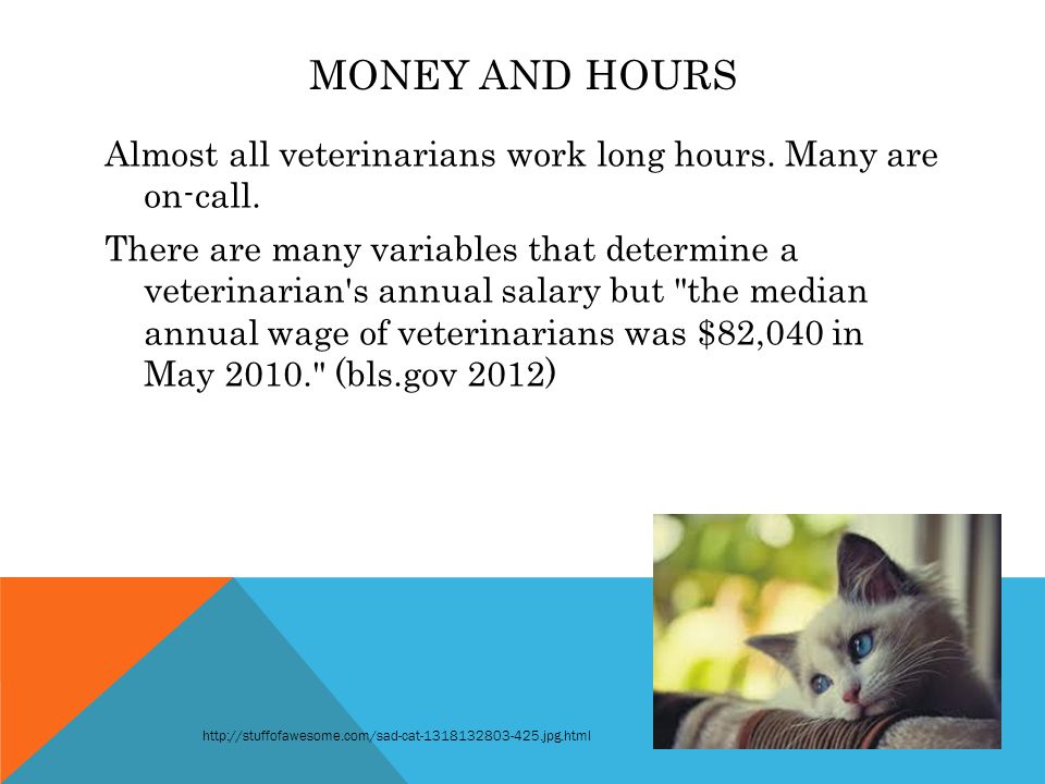 MONEY AND HOURS Almost all veterinarians work long hours.