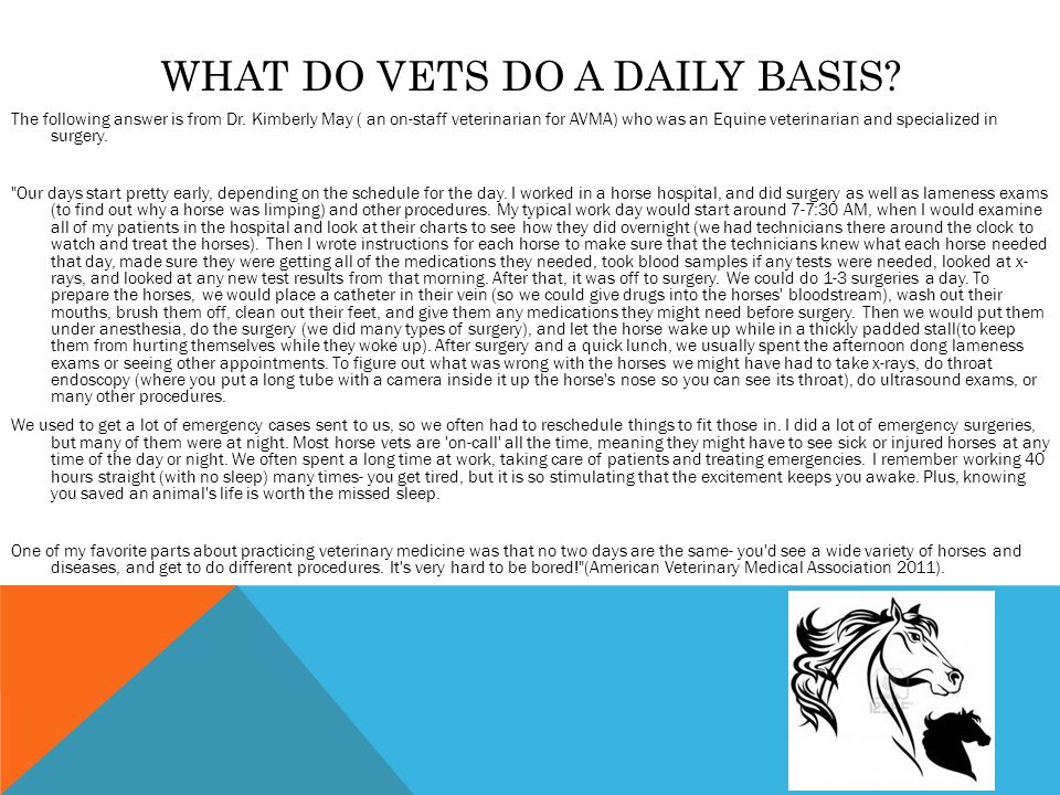 WHAT DO VETS DO A DAILY BASIS. The following answer is from Dr.