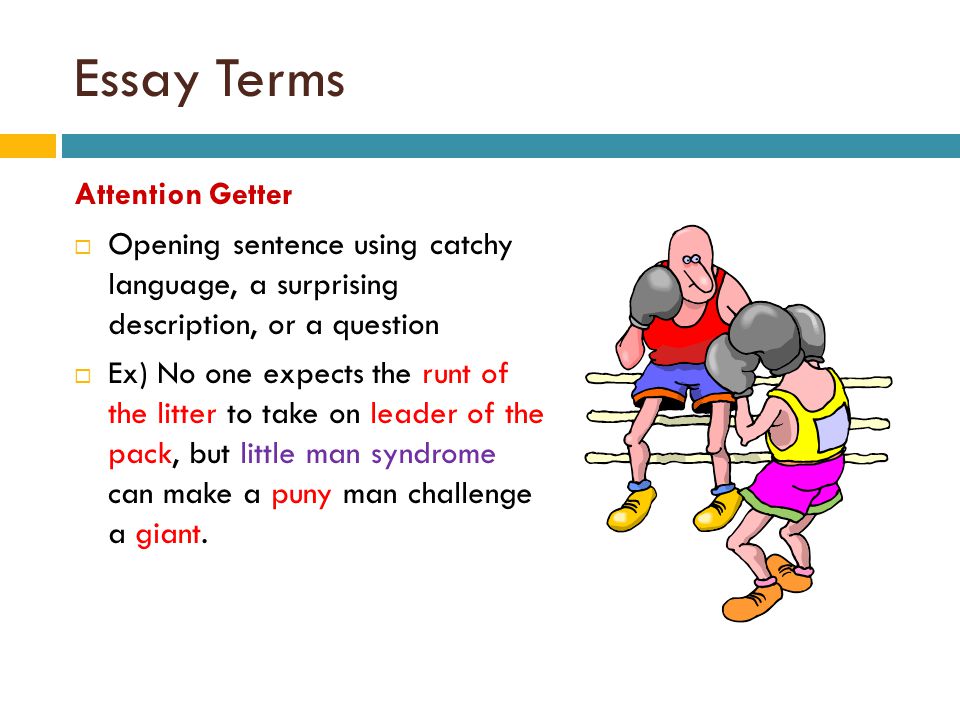 Essay Terms Attention Getter  Opening sentence using catchy language, a surprising description, or a question  Ex) No one expects the runt of the litter to take on leader of the pack, but little man syndrome can make a puny man challenge a giant.