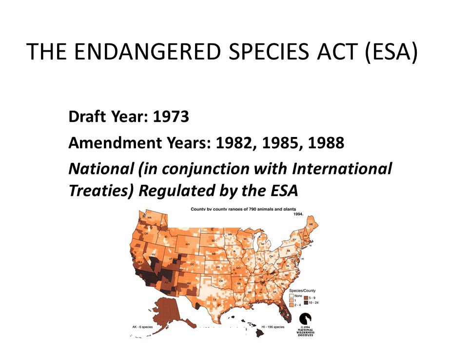 THE ENDANGERED SPECIES ACT (ESA) Draft Year: 1973 Amendment Years: 1982, 1985, 1988 National (in conjunction with International Treaties) Regulated by the ESA