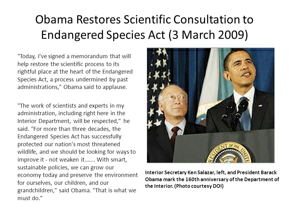 Obama Restores Scientific Consultation to Endangered Species Act (3 March 2009) Today, I ve signed a memorandum that will help restore the scientific process to its rightful place at the heart of the Endangered Species Act, a process undermined by past administrations, Obama said to applause.
