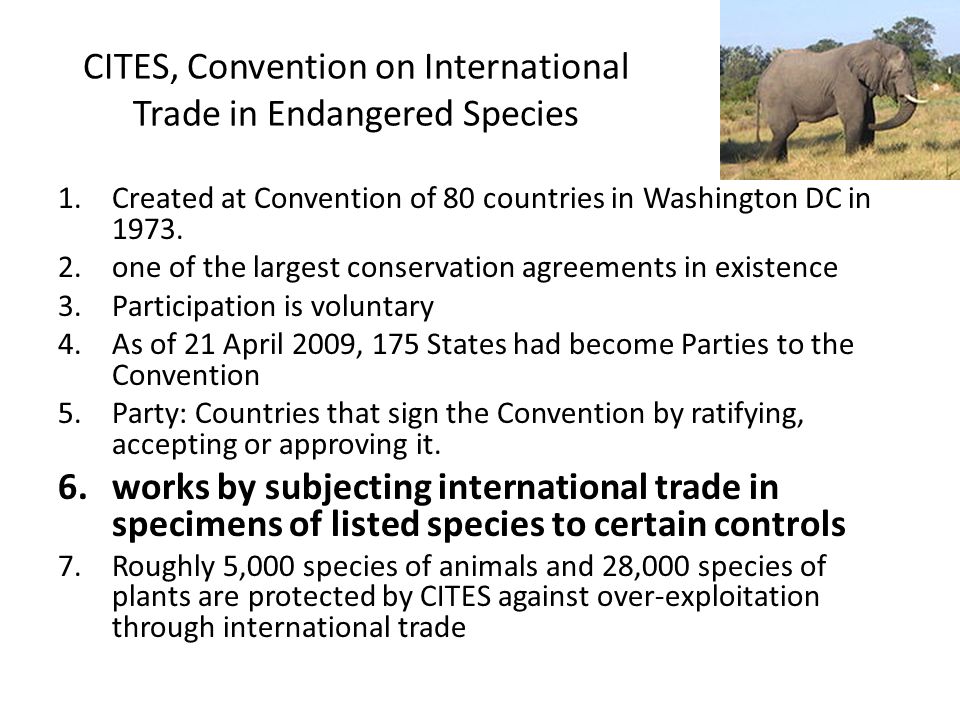 CITES, Convention on International Trade in Endangered Species 1.Created at Convention of 80 countries in Washington DC in 1973.