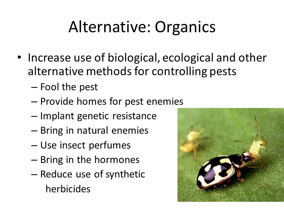 Increase use of biological, ecological and other alternative methods for controlling pests – Fool the pest – Provide homes for pest enemies – Implant genetic resistance – Bring in natural enemies – Use insect perfumes – Bring in the hormones – Reduce use of synthetic herbicides Alternative: Organics