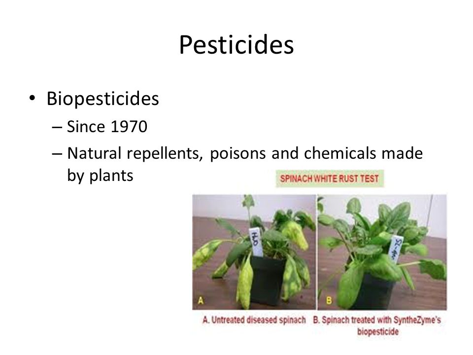 Biopesticides – Since 1970 – Natural repellents, poisons and chemicals made by plants Pesticides