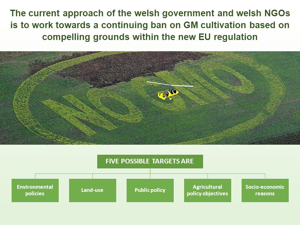The current approach of the welsh government and welsh NGOs is to work towards a continuing ban on GM cultivation based on compelling grounds within the new EU regulation FIVE POSSIBLE TARGETS ARE Environmental policies Land-usePublic policy Agricultural policy objectives Socio-economic reasons