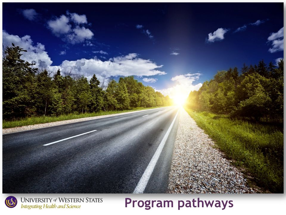 Program pathways