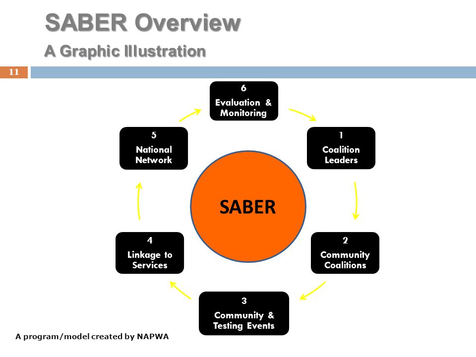 SABER Overview A Graphic Illustration 6 Evaluation & Monitoring 1 Coalition Leaders 2 Community Coalitions 3 Community & Testing Events 4 Linkage to Services 5 National Network SABER 11 A program/model created by NAPWA