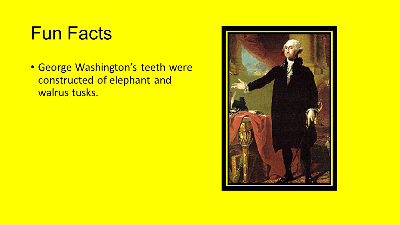 Fun Facts George Washington’s teeth were constructed of elephant and walrus tusks.