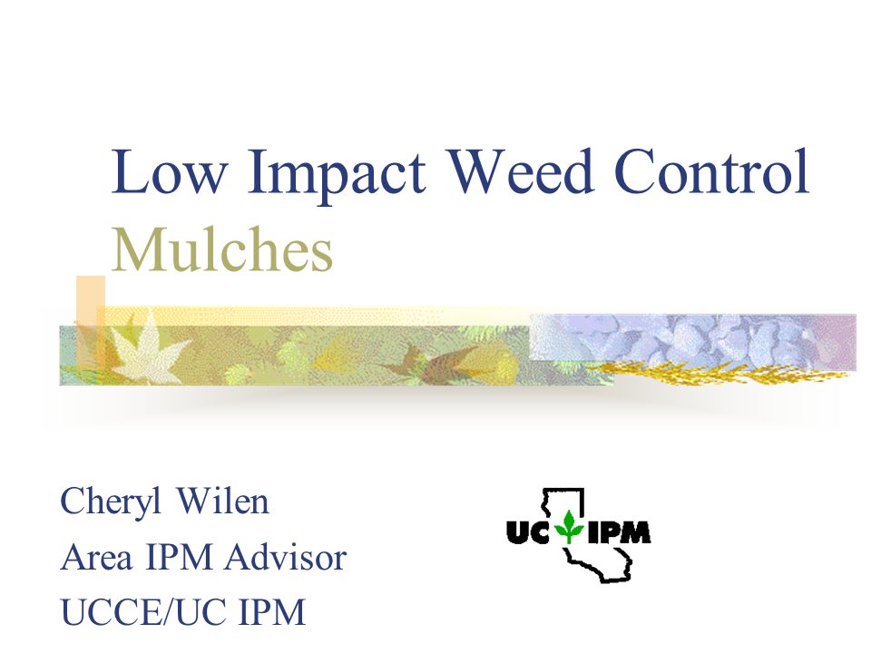 Low Impact Weed Control Mulches Cheryl Wilen Area IPM Advisor UCCE/UC IPM